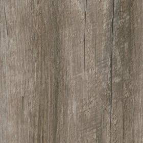 Coastal Pine, AM5W3029