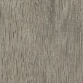 Sash Oak, AM5W3032