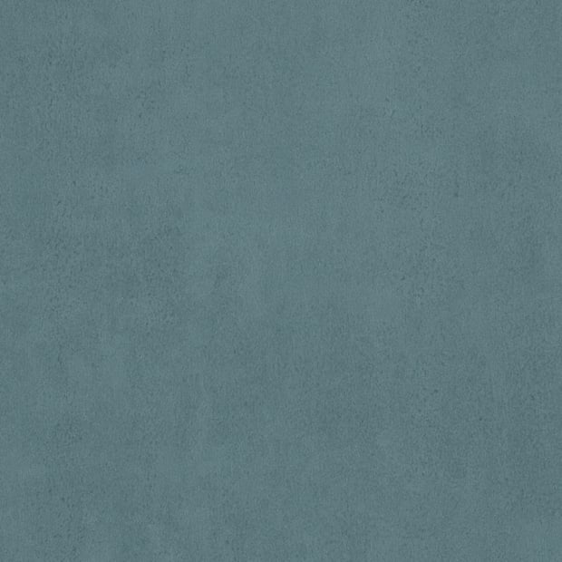 Stucco Huckleberry, AR0AUC92