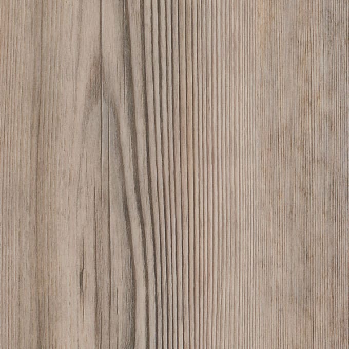 Parisian Pine, AR0W7860