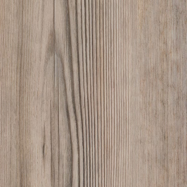 Parisian Pine, AR0W7860