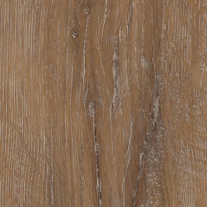 Manor Oak, AR0W7970