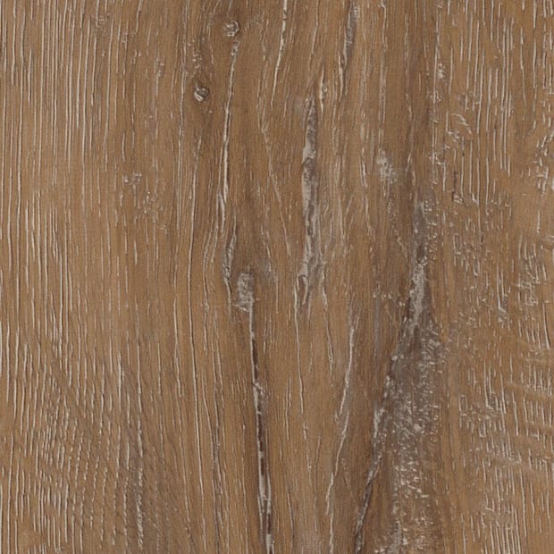 Manor Oak, AR0W7970