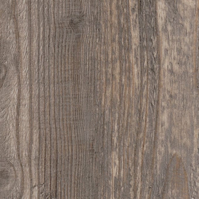 Harbour Pine, AR0W7990