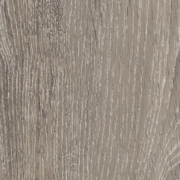 Nomad Oak, AR0W8140