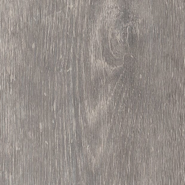 Alpine Oak, AR0W8330
