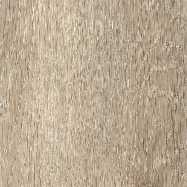 Malvern Oak, AR0W8670
