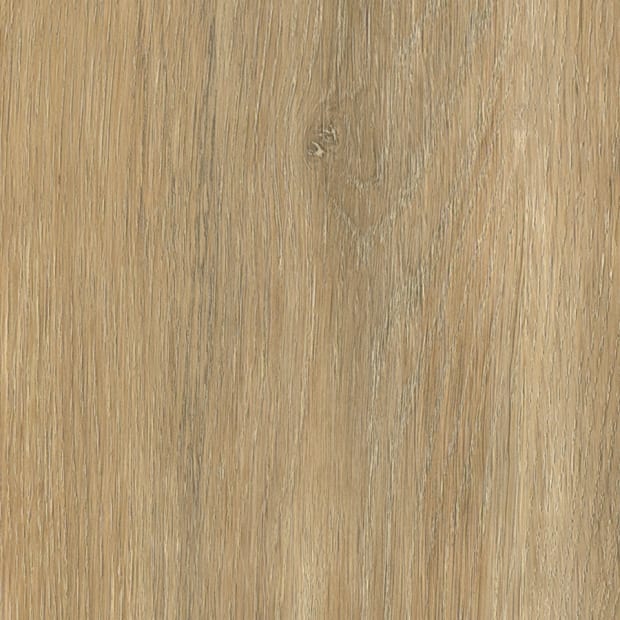 Darley Oak, AR0W8710