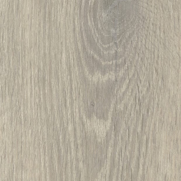 Friston Oak, AR0W8750