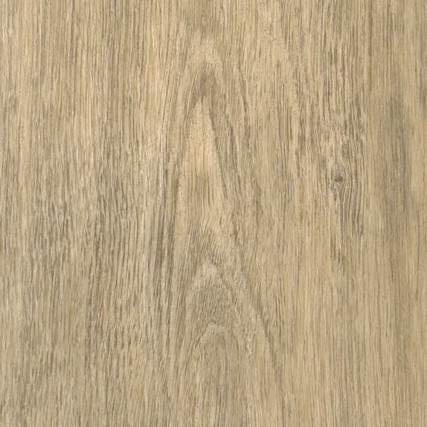 Hamsterley Oak, AR0W8770