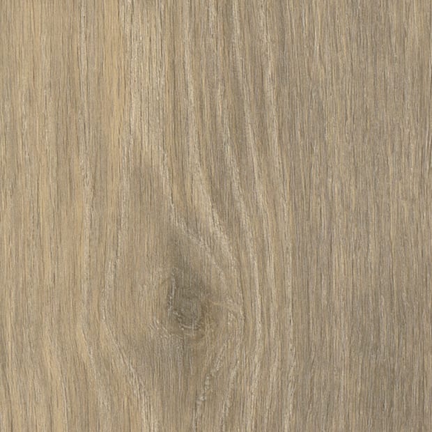 Kirby Oak, AR0W8780