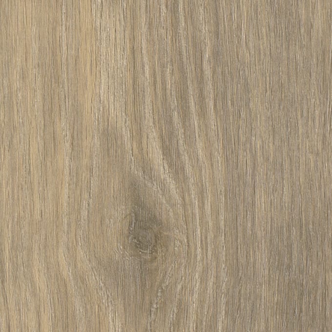 Kirby Oak, AR0W8780