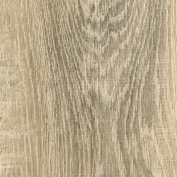 Grizedale Oak, AR0W8830