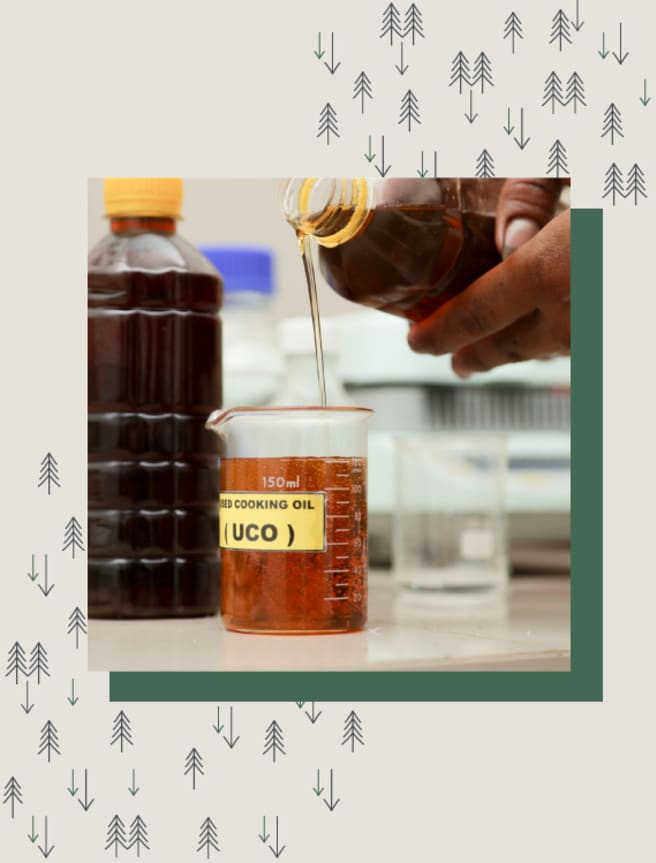 Used Cooking Oil (UCO) is another waste product that is a source of renewable ethylene