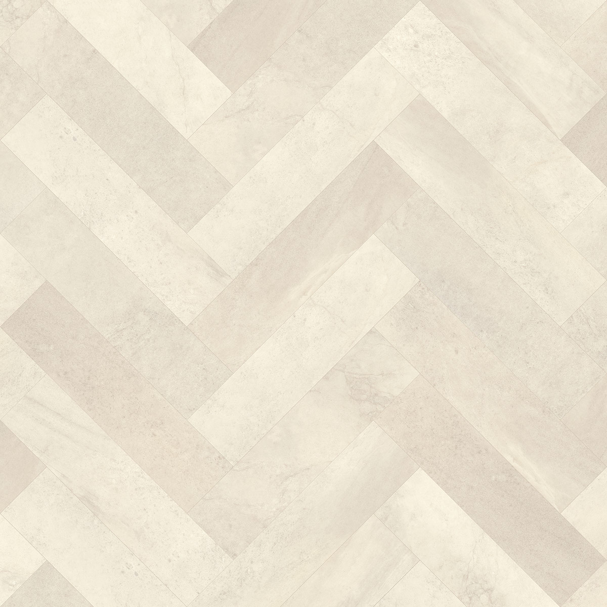 Ammonite in Large Parquet