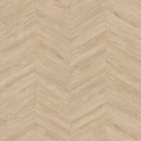 Cowrie Oak in Chevron, FP263
