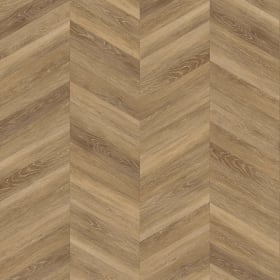 Esker Oak in Chevron, FP283
