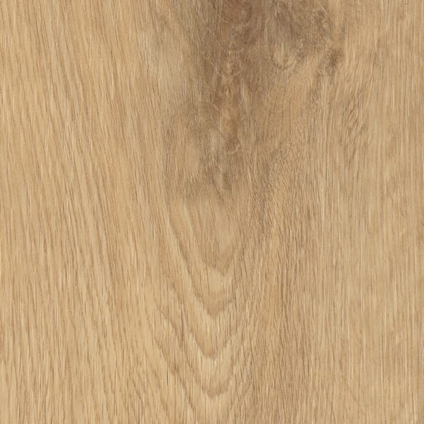 Skara Oak, FS7W6090