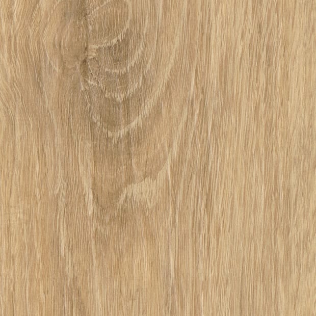 Matlo Oak, FS7W6130