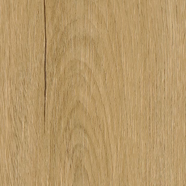 Hanningfield Oak, FS7W6190