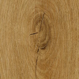 Langdon Oak, FS7W6210