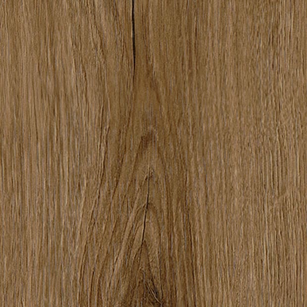 Thorndon Oak, FS7W6220