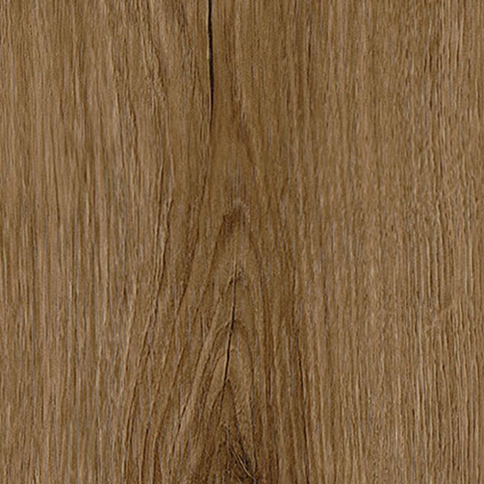 Thorndon Oak, FS7W6220