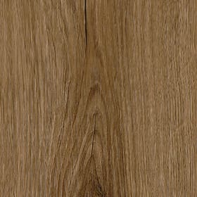 Thorndon Oak, FS7W6220