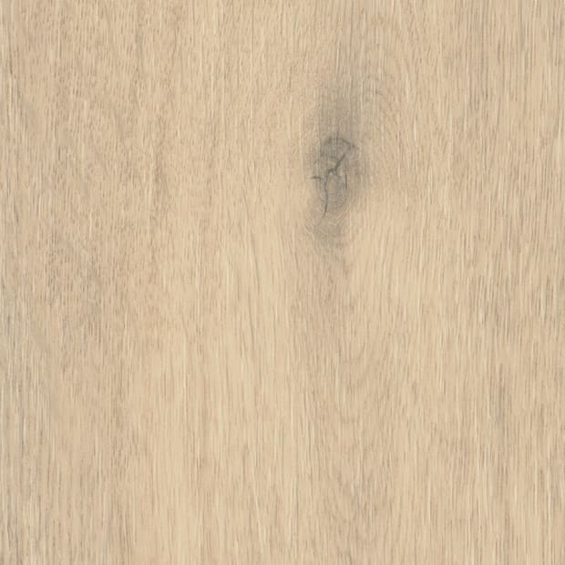 Laholm Oak, FS7W6230