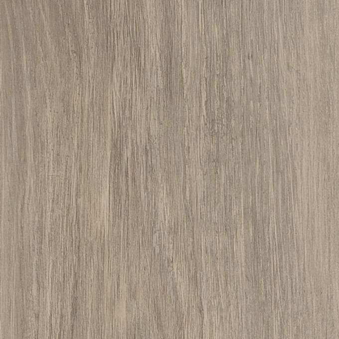 Bergen Oak, FS7W8510