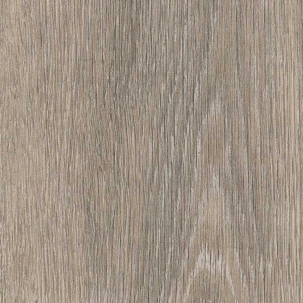 Strand Oak, FS7W8620