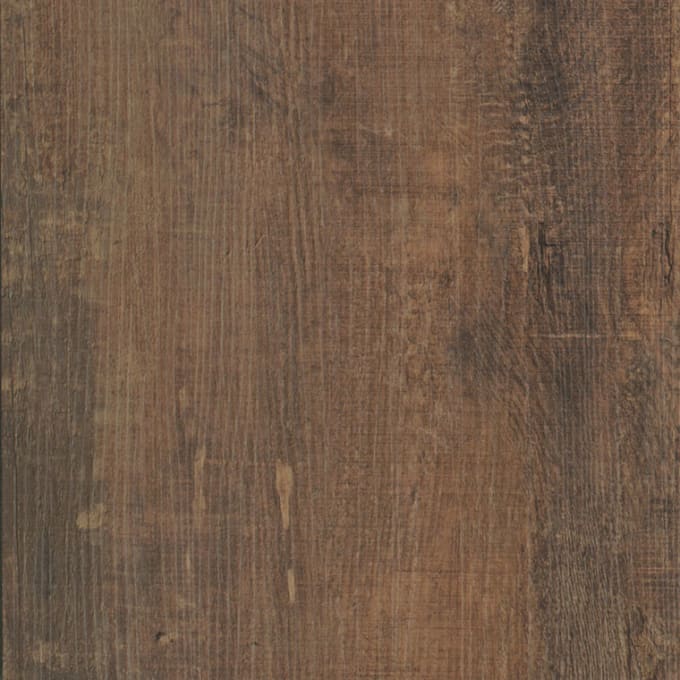 Chapel Oak, SB5W3014