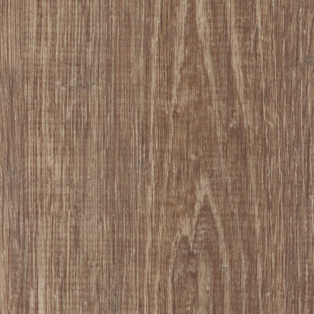 Smouldered Oak, SB5W3083
