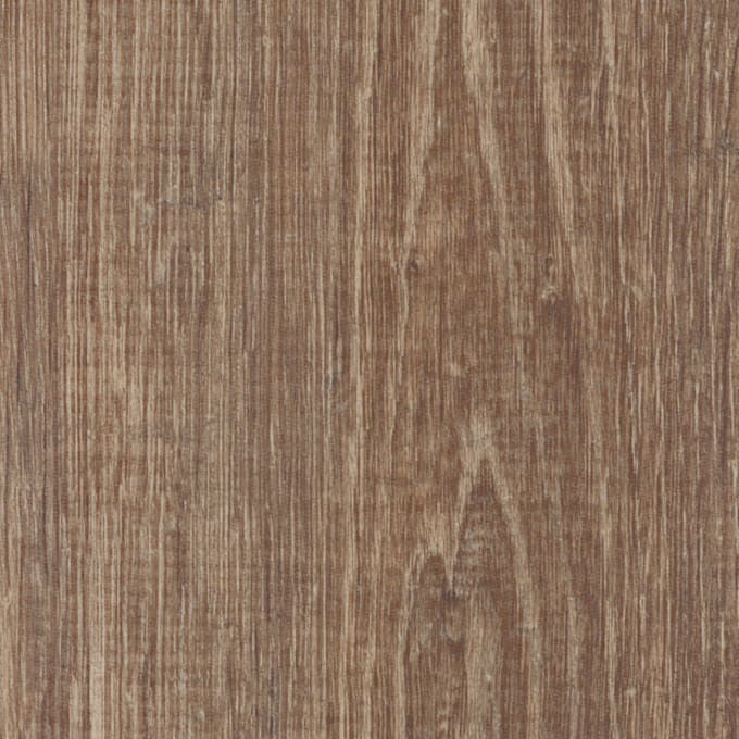 Smouldered Oak, SB5W3083