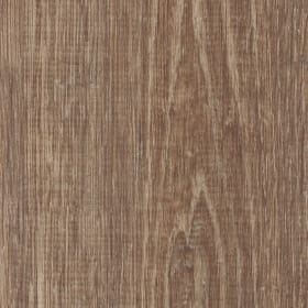 Smouldered Oak, SB5W3083