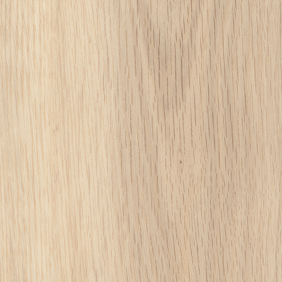 Hushed Oak