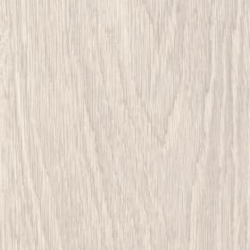 Beachcomber Oak, SB5W3087