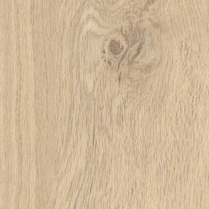 Springtide Oak, SF3W1025