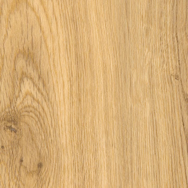 Hunters Oak, SF3W1032
