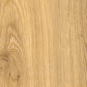 Hunters Oak, SF3W1032