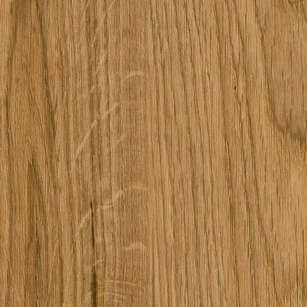 English Oak, SF3W2498