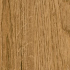 English Oak, SF3W2498