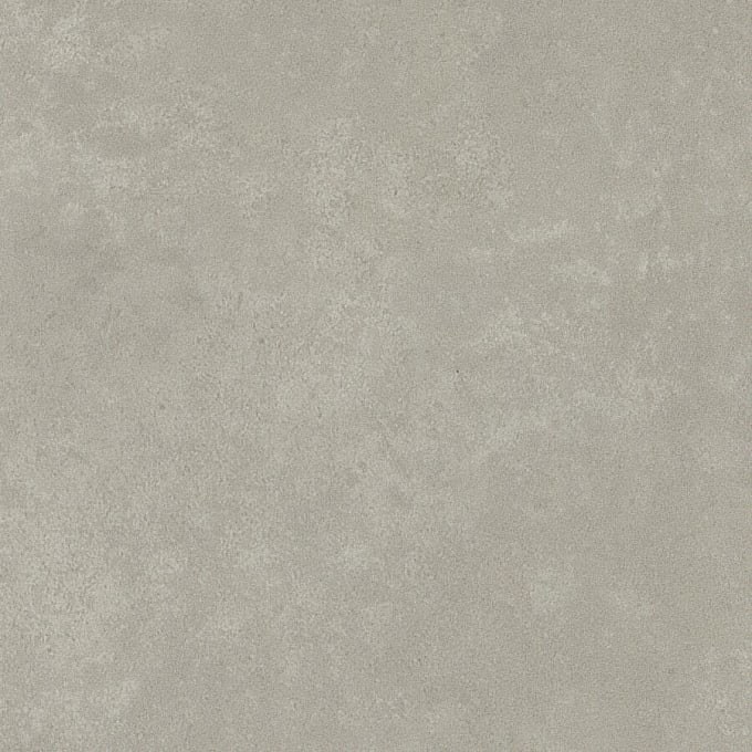 Lichen, SS5S2629