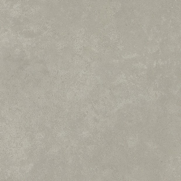 Lichen, SS5S2629