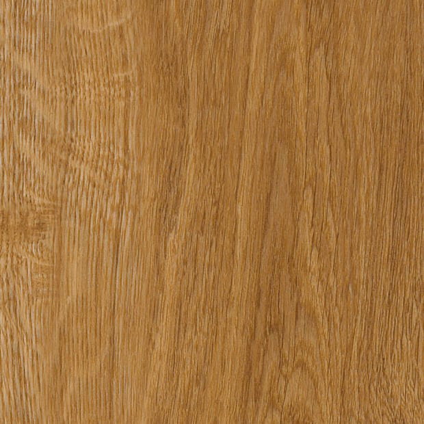 Traditional Oak, SS5W2514