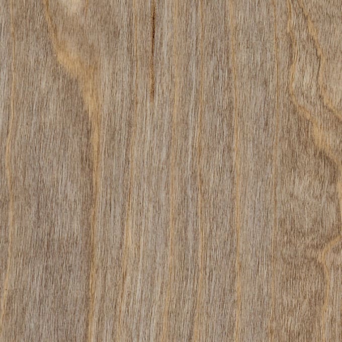 Bleached Elm, SS5W2516