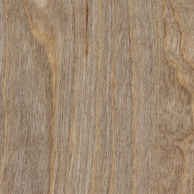 Bleached Elm, SS5W2516