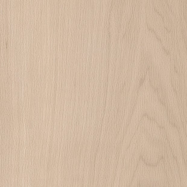 White Maple, SS5W2654