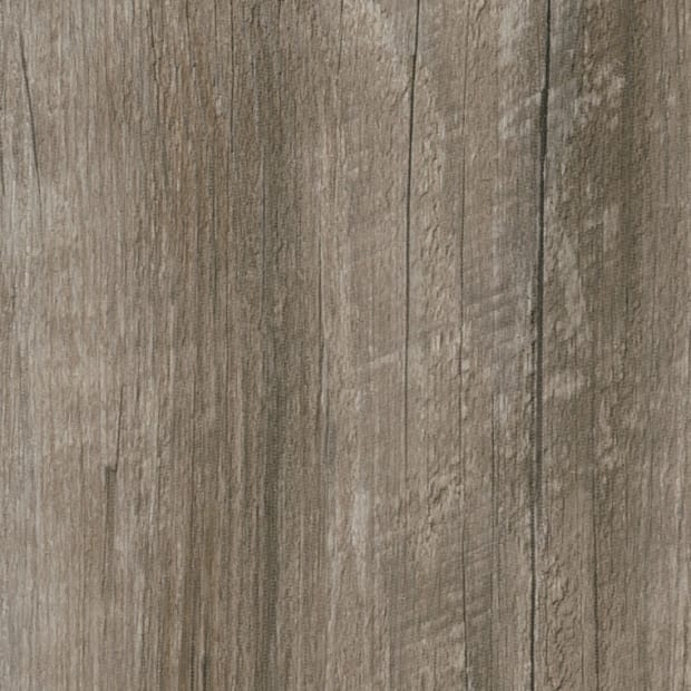 Coastal Pine, SS5W3029