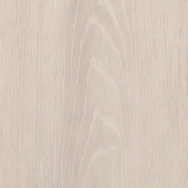 Iced Oak, SS5W3310